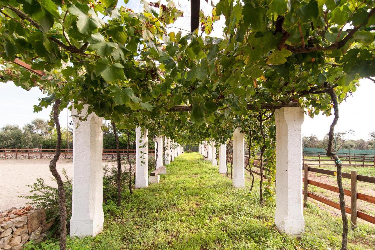 Tenuta Aphrodite Racale Kültér fotó